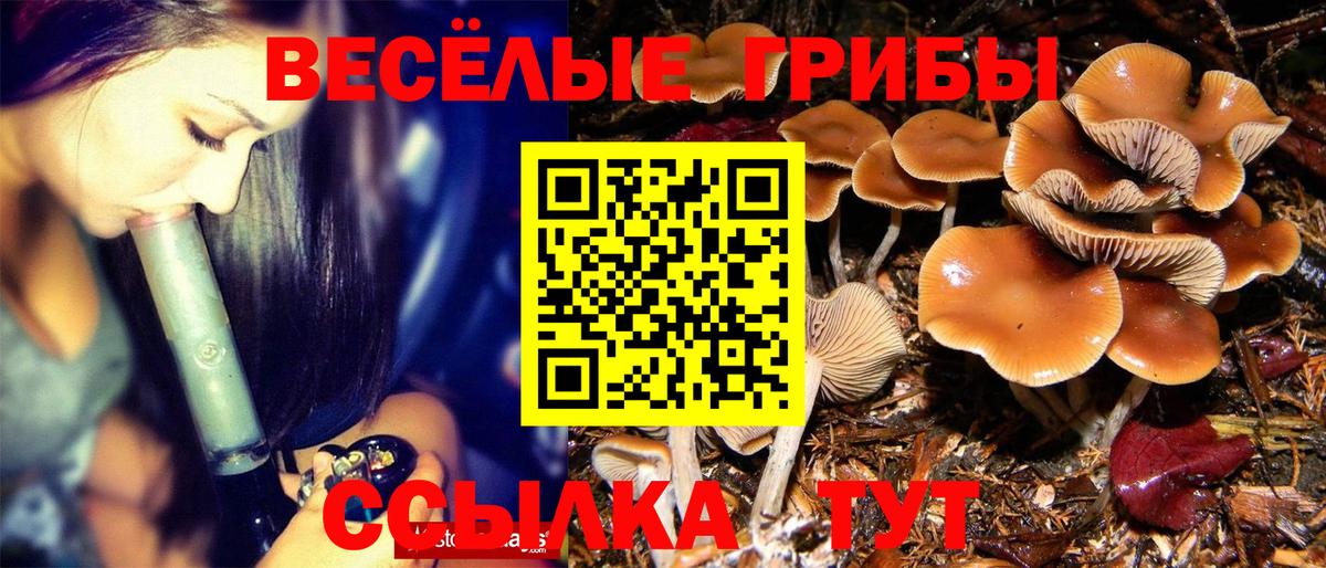 Галлюциногенные грибы GOLDEN TEACHER Сыктывкар