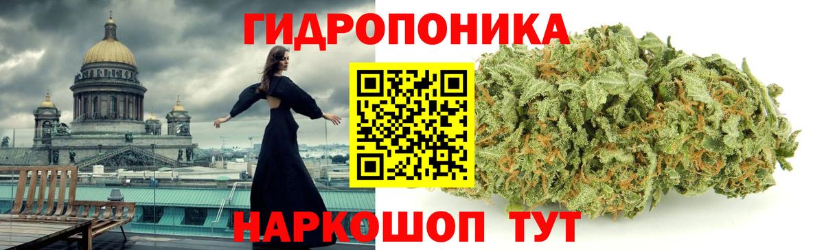 Канабис ГИДРОПОН  Канабис OG Kush  Сыктывкар  Канабис OG Kush  Вход с VPN 